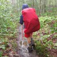 A Musketeer hiking the Long Trail in the rain